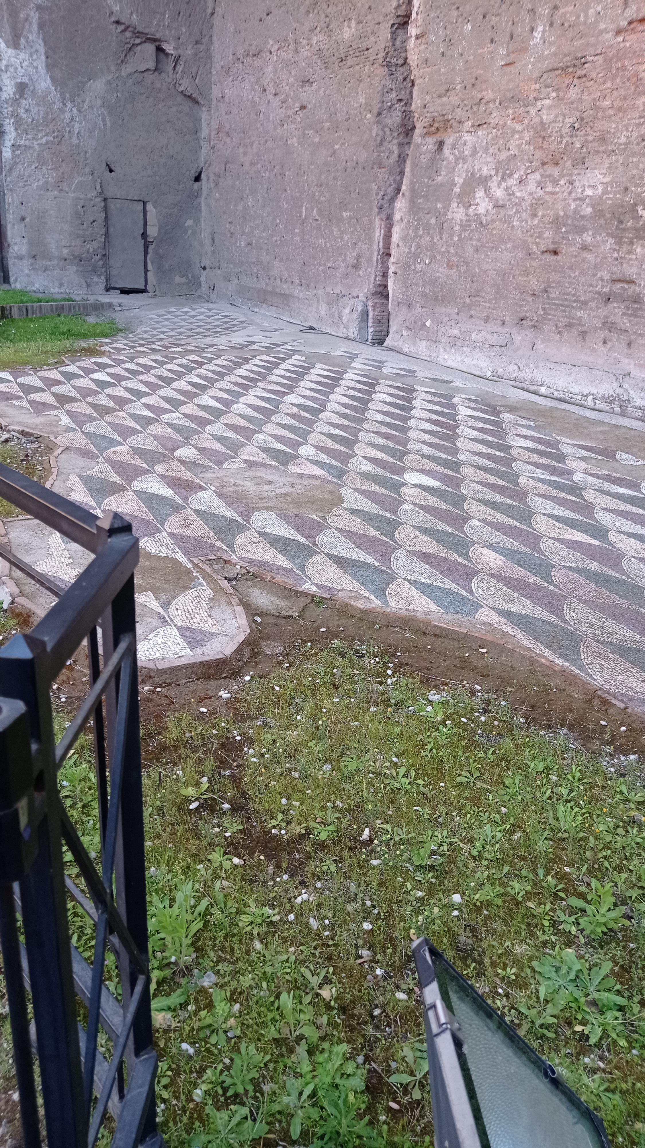 IMG 20240505 163421