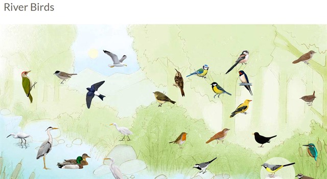 River Birds cattura 640x350
